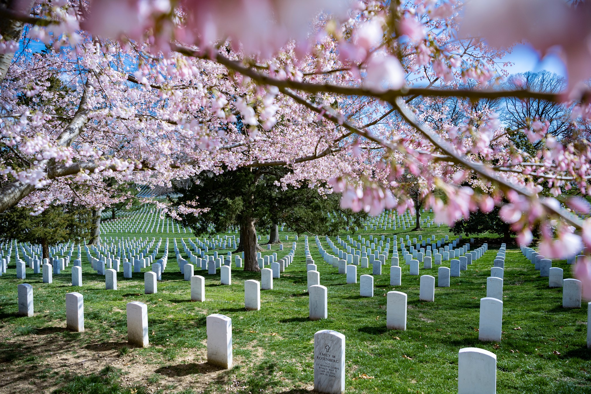 Arlington National Cemetery