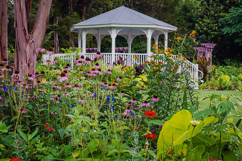 Green Spring Gardens