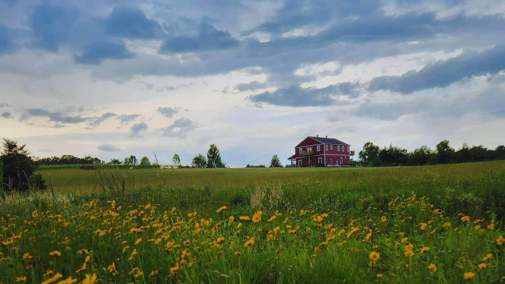 Southern Revere Cellars