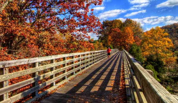 The Virginia Creeper Trail