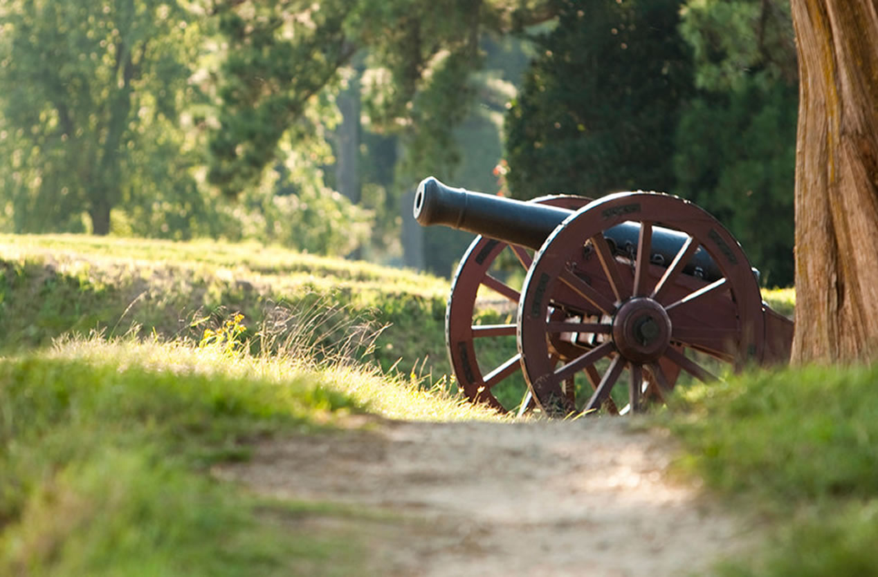 How to Raise a Citizen